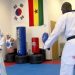 25 taekwondo athletics in Bono region undergo pass ‘colour belt’ promotion test
