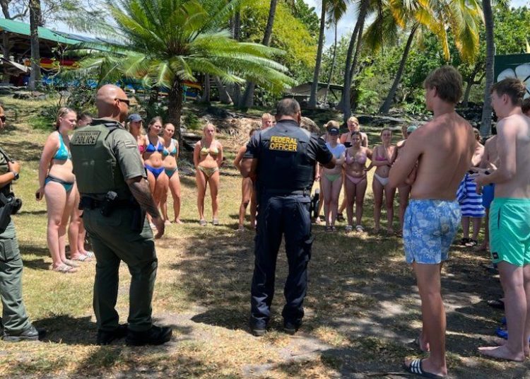 Swimmers in Hawaii accused of harassing dolphins